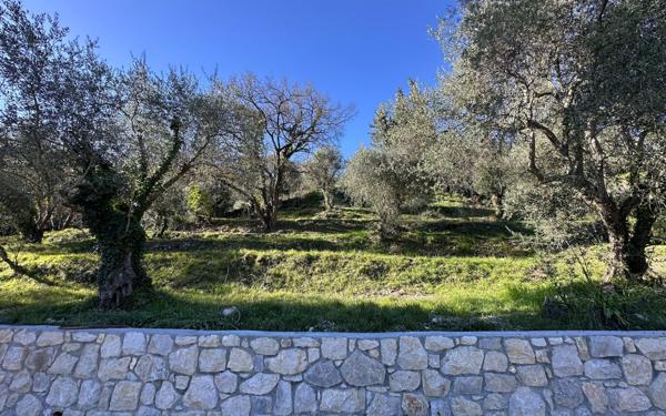 Terrain à vendre    Gorbio