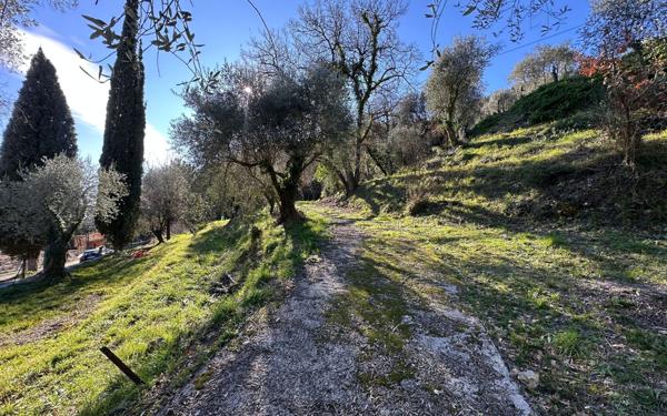 Terrain à vendre    Gorbio