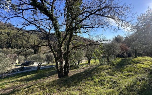 Terrain à vendre    Gorbio