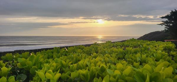 VUE MER – UN ENVIRONNEMENT NATUREL D’EXCEPTION À SAINT-VINCENT-SUR-JARD