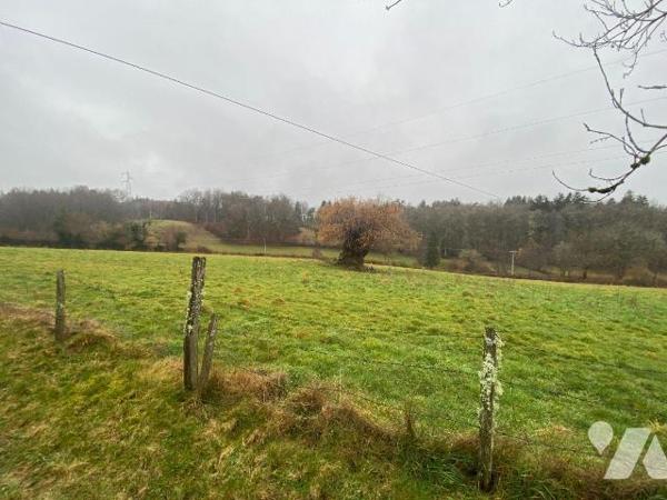 A vendre, entre PLEAUX et MAURIAC (Cantal), une maison traditionnelle auvergnate, mitoyenne sur...