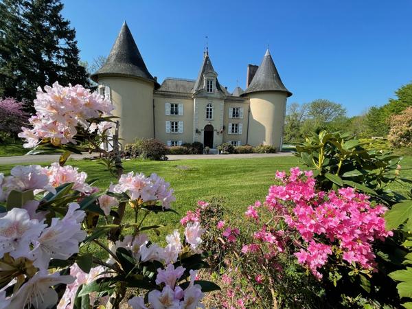 Chateau à vendre à Limoges (87000) - Haute-Vienne