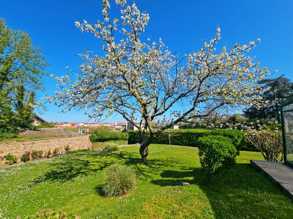 Sury-le-Comtal (42450) Maison familiale Sury le Comtal