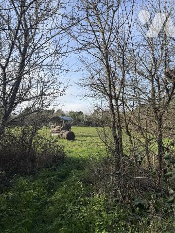 BRETIGNOLLES SUR MER, Maison de campagne