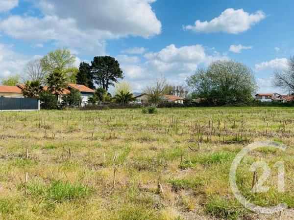 Terrain à vendre  495 m 2   ANGLET  - 64
