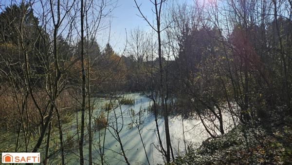 A 10 mn de LOCHES Très belle propriété située près de Loches, entourée d'un cadre idyllique, avec son parc magnifique et sa mare naturelle.
