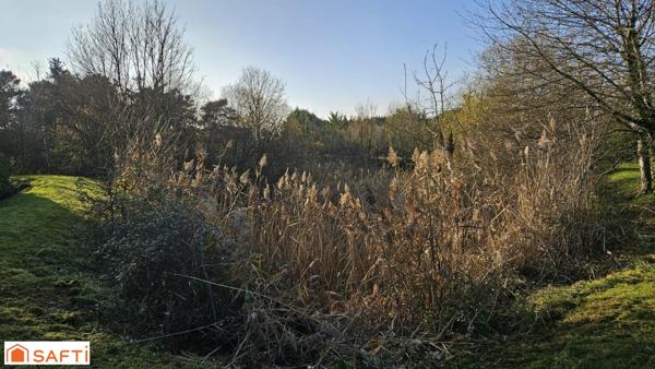 A 10 mn de LOCHES Très belle propriété située près de Loches, entourée d'un cadre idyllique, avec son parc magnifique et sa mare naturelle.