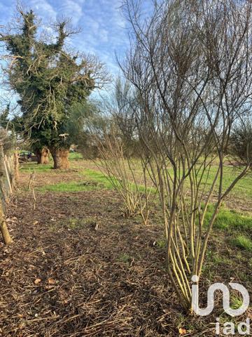 Terrain à vendre 600 m² Nort-sur-Erdre