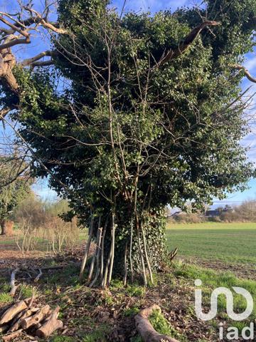 Terrain à vendre 600 m² Nort-sur-Erdre