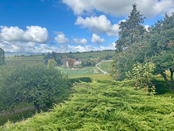 Prissé (71960) Villa