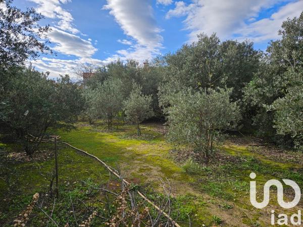 Terrain à vendre 1 400 m² Perpignan