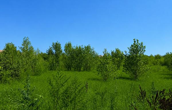 Terrain à Batir de 284 m²