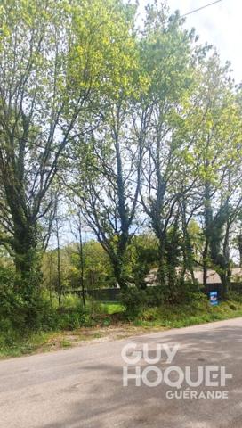 Terrain de 1169 m² à FEREL