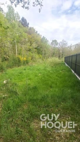 Terrain de 1169 m² à FEREL