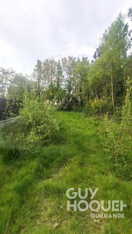 Terrain de 1169 m² à FEREL