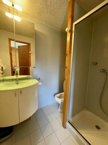 Bourg-Saint-Maurice (73700) CHALET 155m2