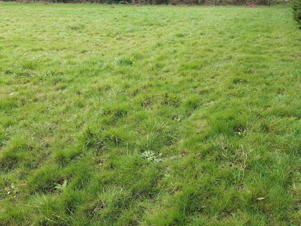 Terrain à MUZILLAC, 56190 - 717m²