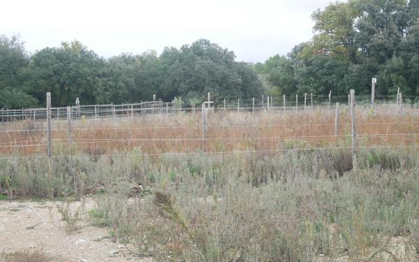 Terrain à vendre    Castillon-du-Gard