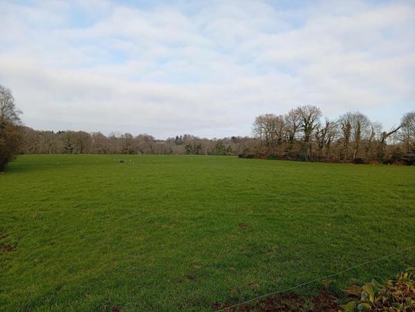 Maison 5 pièce(s) 98 m2 habitables