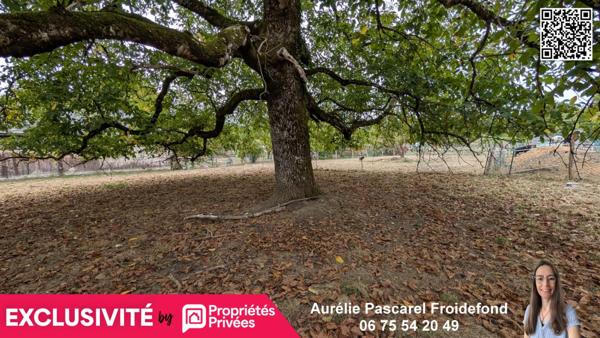 24990 EUROS // LUBERSAC (19210) TERRAIN PLAT d'environ 850m²  // EXCLUSIVITE