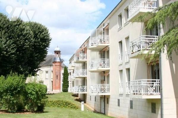 SAINT BENOIT, Résidence services dans un parc boisé et fleuri de 3 hectares, appartement en trè...