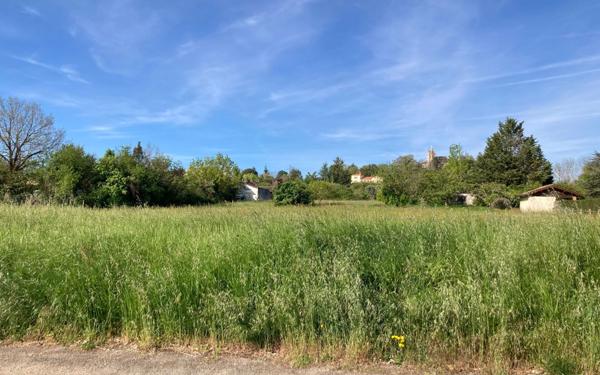 Terrain à vendre    Lavaur