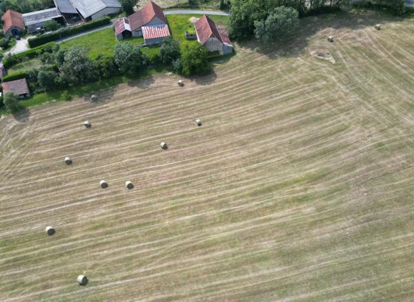 Ensemble immobilier, 2 granges en pierre sur 2 hectares de terrain.
