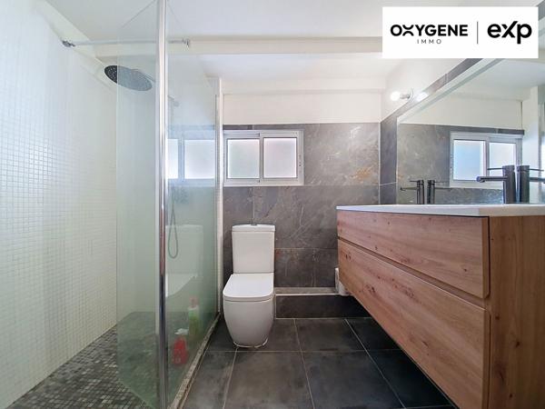 Grande maison avec piscine et sa dépendance aménagée en maison sur un terrain