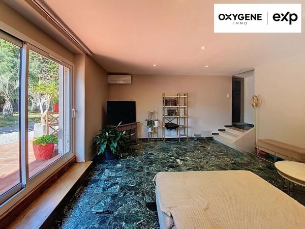 Grande maison avec piscine et sa dépendance aménagée en maison sur un terrain
