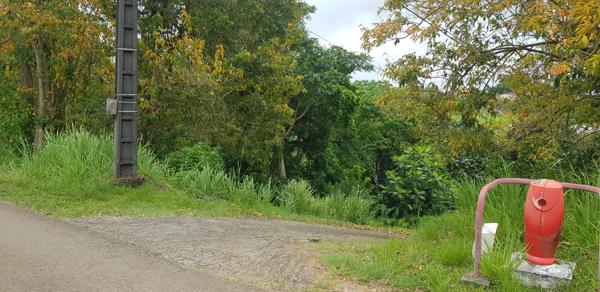 Achat terrain La Trinité - 467 m² - 85 000 €