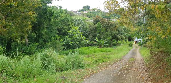 Achat terrain La Trinité - 467 m² - 85 000 €