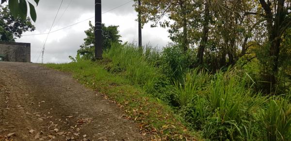 Achat terrain La Trinité - 467 m² - 85 000 €