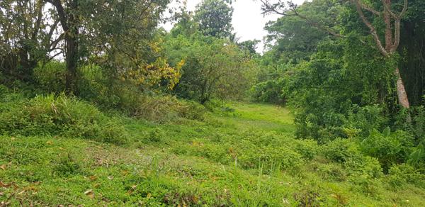 Achat terrain La Trinité - 467 m² - 85 000 €