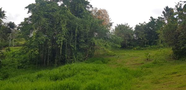 Achat terrain La Trinité - 467 m² - 85 000 €