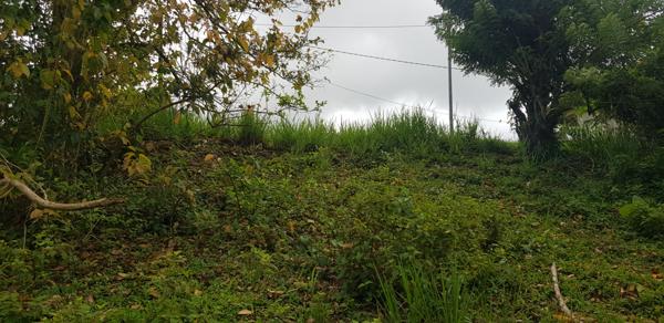 Achat terrain La Trinité - 467 m² - 85 000 €