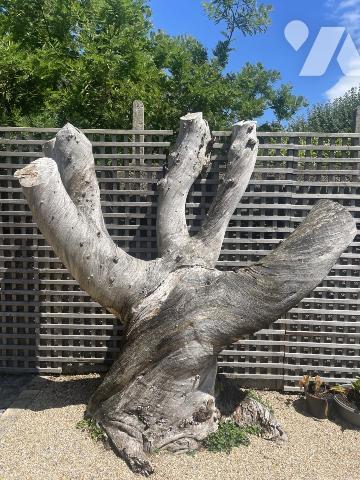 Volumes exceptionnels et élégance contemporaine à Séné – Vue sur le Golfe et les marais