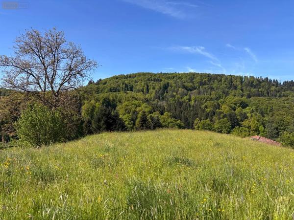 Achat - Terrain à bâtir | Terrain à bâtir Le Val-d'Ajol 88340 813 m 2 813 m 2