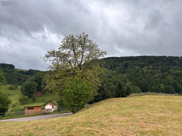 Achat - Terrain à bâtir | Terrain à bâtir Le Val-d'Ajol 88340 813 m 2 813 m 2