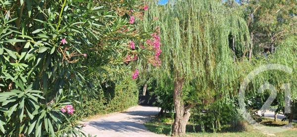 Maison à vendre  5 pièces - 143,55 m2 ST CYPRIEN - 66