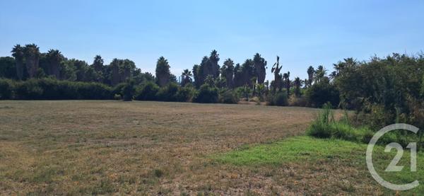 Maison à vendre  5 pièces - 143,55 m2 ST CYPRIEN - 66