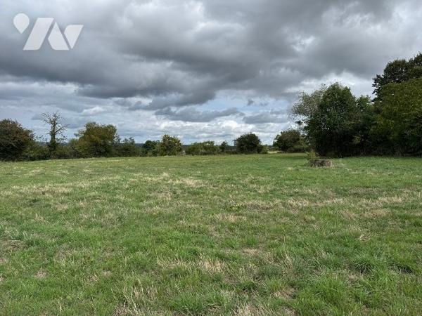 Maison rurale à rénover avec dépendances sur 4910m² de terrain.