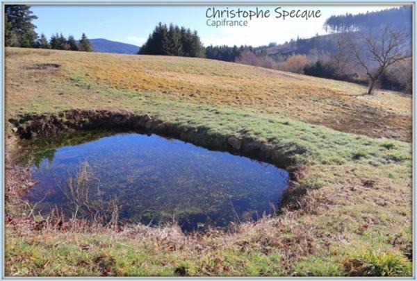 Terrain 4945 m² avec sources à CHABRELOCHE (63)