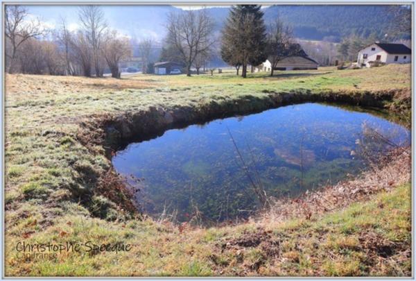 Terrain 4945 m² avec sources à CHABRELOCHE (63)