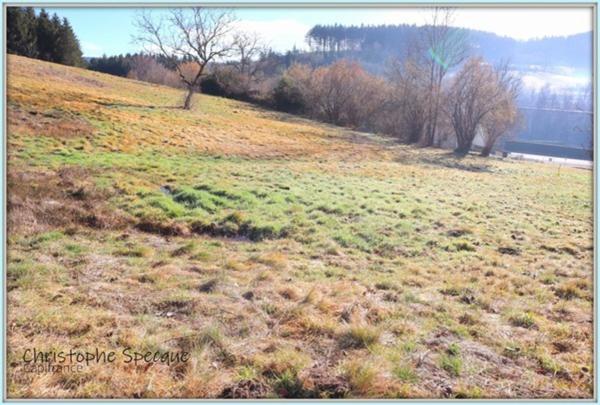 Terrain 4945 m² avec sources à CHABRELOCHE (63)