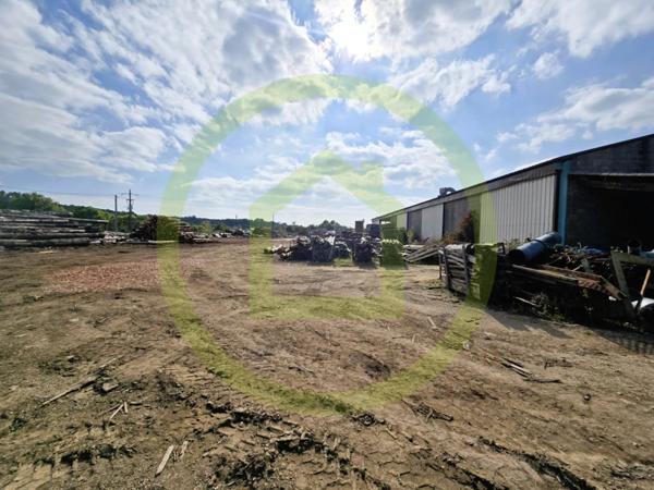 Bâtiment à CELLES SUR BELLE (79370)