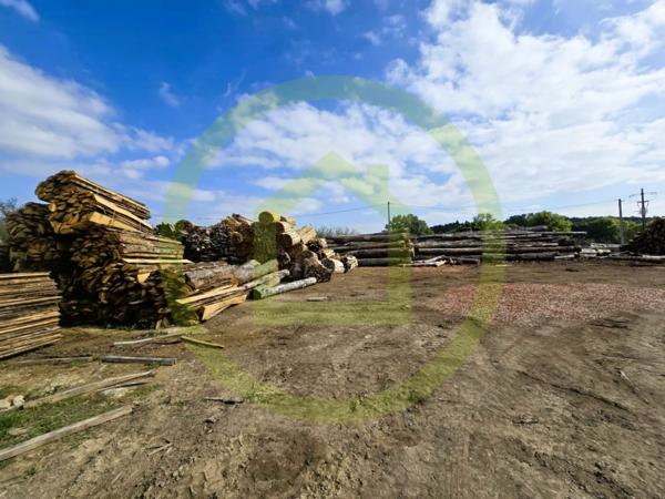 Bâtiment à CELLES SUR BELLE (79370)