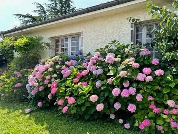 Vente Maison 5 pièces 137 m2 à Albi