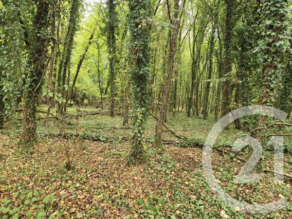 Maison à vendre  6 pièces - 174,47 m 2   LA GUERCHE SUR L AUBOIS  - 18