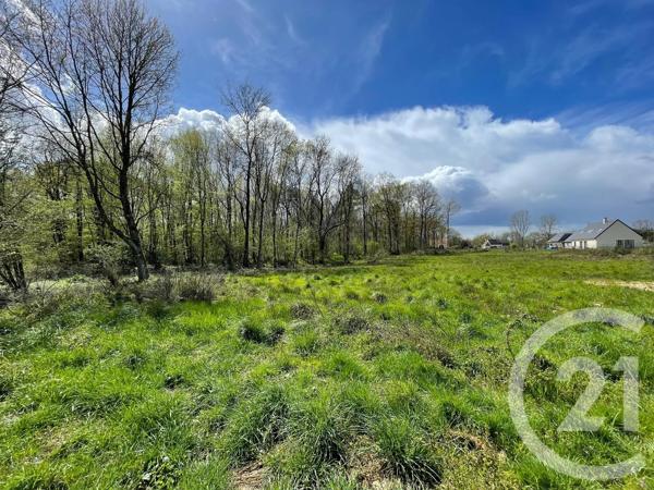 Terrain à vendre  6804 m 2   VILLEFRANCHE SUR CHER  - 41