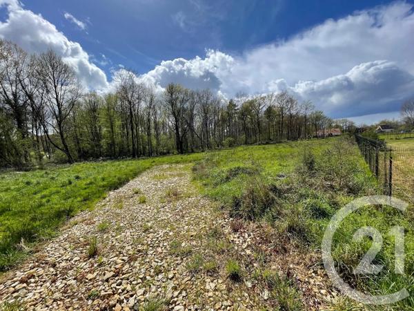 Terrain à vendre  6804 m 2   VILLEFRANCHE SUR CHER  - 41